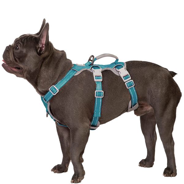 NEW HUNTBOO DOG HARNESS