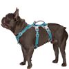 Image 1 : NEW HUNTBOO DOG HARNESS