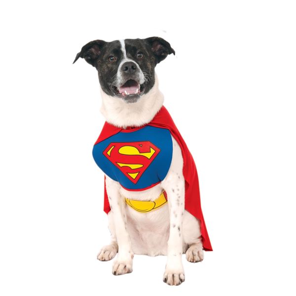 NEW RUBIES SUPERMAN DOG LARGE