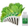 Image 1 : NEW 9 POD AERO GARDEN SALAD POD KIT