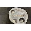 Image 1 : 14" X 12" ORTHOCERAS FOSSIL SPECIMEN  LISTED RETAIL $2500