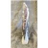 Image 2 : 12" ORTHOCERAS FOSSIL SPECIMEN LISTED RETAIL $1500