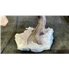 Image 3 : 8" X 8" ROSE QUARTZ CRYSTAL TREE LISTED RETAIL $1100