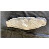 Image 3 : 8" OTHOCARAS FOSSIL SPECIMEN LISTED RETAIL $600