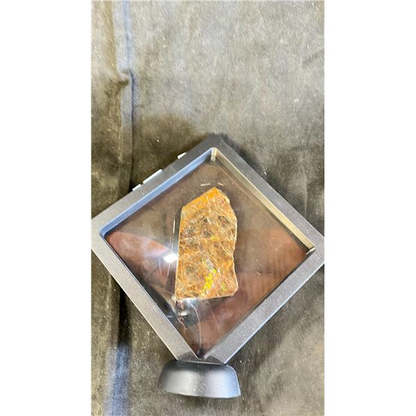 3.88" AMOLITE SPECIMEN LISTED RETAIL $1800