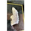 Image 2 : PURPLE GRAPE AGATE SPECIMEN DISPLAY LISTED RETAIL $800