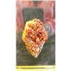 Image 2 : VANADINITE LISTED RETAIL $450 & ORTHOCERAS FOSSIL LISTED RETAIL $350