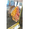 Image 3 : VANADINITE LISTED RETAIL $450 & ORTHOCERAS FOSSIL LISTED RETAIL $350