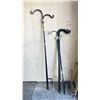 Image 1 : ASSORTED GARDEN SHEPHERD HOOKS