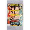 Image 1 : DC SHOWCASE THE HAWK AND THE DOVE #75 COMIC BOOK