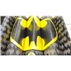 Image 2 : BATMAN WINDSHIELD SUN SHADE