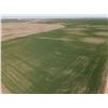 Image 3 : 154 +/- Acres of Dryland and Pasture Land