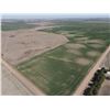 Image 4 : 154 +/- Acres of Dryland and Pasture Land