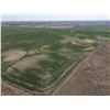 Image 5 : 154 +/- Acres of Dryland and Pasture Land