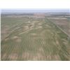 Image 5 : 140 +/- Acres of Dryland and Trees