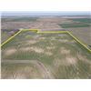 Image 6 : 140 +/- Acres of Dryland and Trees