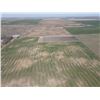 Image 7 : 140 +/- Acres of Dryland and Trees