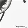 Image 2 : Turtle by Wyland Original