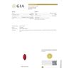 Image 5 : 3.73 ctw Ruby and 1.06 ctw Diamond Platinum Ring (GIA CERTIFIED)