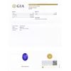 Image 5 : 30.80 ctw Tanzanite and 1.42 ctw Diamond Platinum Pendant (GIA CERTIFIED)