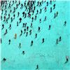 Image 2 : Populus: Cyan Cinema by Alan, Craig