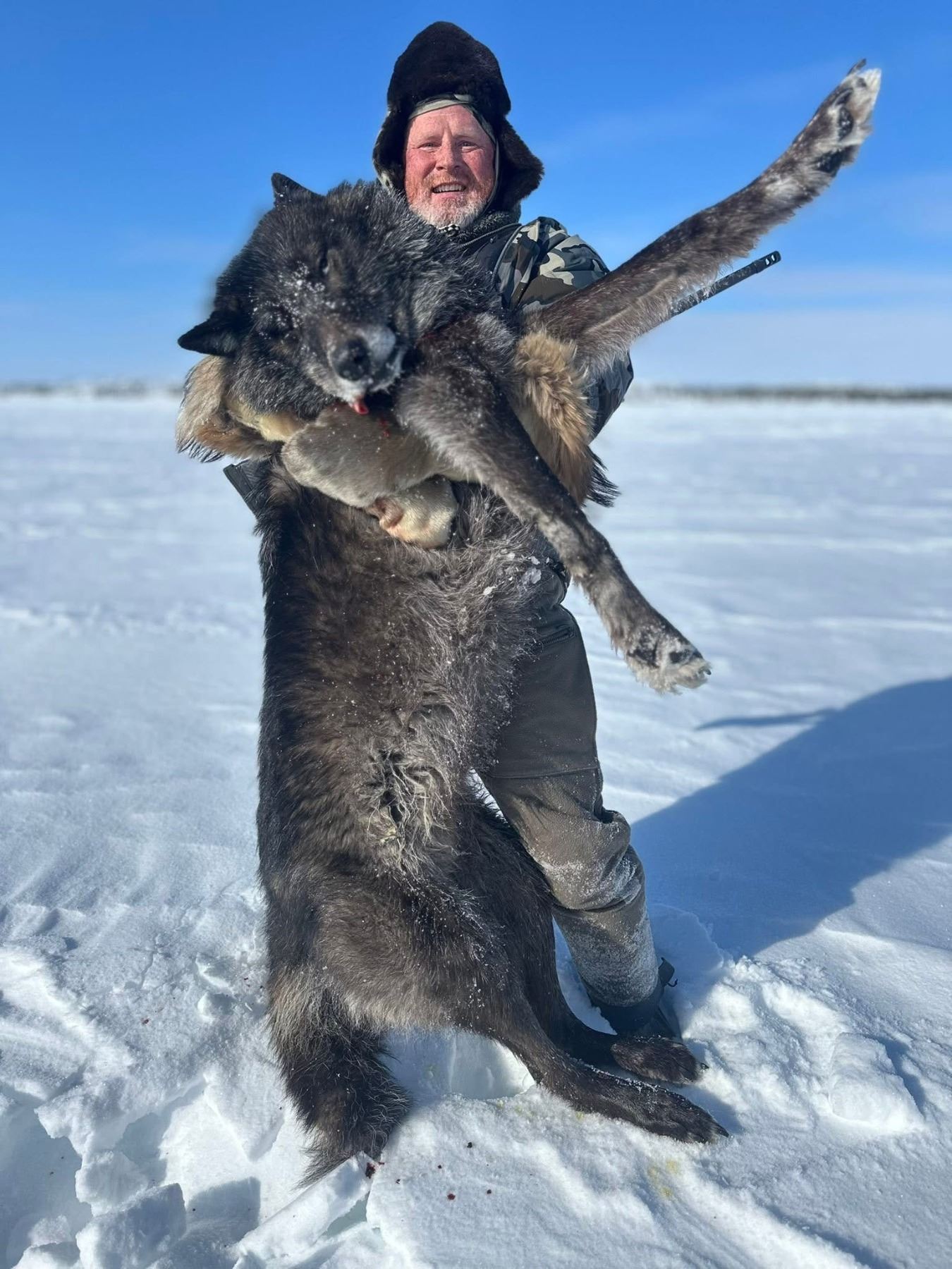 Nwt Wolves NORTHWEST TERRITORIES 6-DAY ARTIC WOLF HUNT FOR 2 PEOPLE.