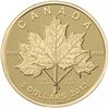 Image 1 : 2012 $5 Pure Gold Coin Maple Leaf Forever.