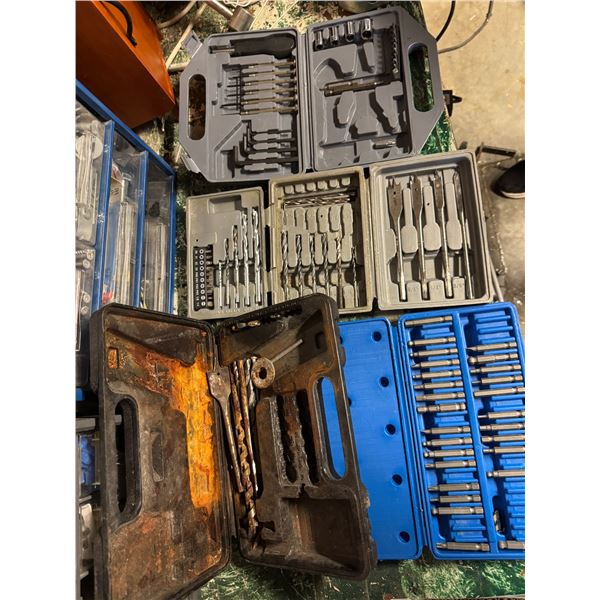 Assorted bits in case