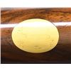 Image 11 : HANDSOME IVO FABBRI O/U GAME GUN WITH SUPERB GAME