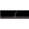 Image 4 : CIVIL WAR CONFEDERATE LANCE/PIKE BY BURGER &