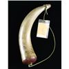Image 1 : ATTRACTIVE 1861 PATRIOTIC CARVED POWDER HORN.