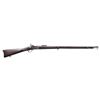 Image 1 : PEABODY SINGLE SHOT MILITARY RIFLE W/ GERMAN