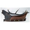 Image 1 : PHENOMENAL LATE 19th CENTURY CARVED ELK HEAD HAT
