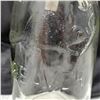 Image 2 : beaver sealer glass jar stamped 2 on the bottom