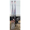 Image 2 : Solamon Cross Country Skis/Poles/Shoes
