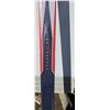 Image 4 : Solamon Cross Country Skis/Poles/Shoes