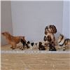 Image 1 : Dog porcelain figures