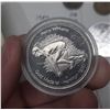 Image 8 : Coin Collection in Antique Metal Box.