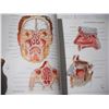 Image 4 : 1997 Atlas of Human Anatomy Book (500+ pgs)