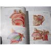 Image 5 : 1997 Atlas of Human Anatomy Book (500+ pgs)