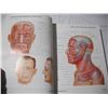 Image 6 : 1997 Atlas of Human Anatomy Book (500+ pgs)