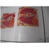 Image 7 : 1997 Atlas of Human Anatomy Book (500+ pgs)