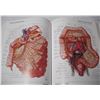 Image 8 : 1997 Atlas of Human Anatomy Book (500+ pgs)