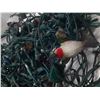 Image 3 : X-Mas Lights.
