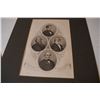 Image 4 : 1865 civil war generals prints