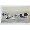 Image 3 : Postcards-baseball, farm, ontario beach