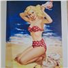 Image 3 : exotic ladies artist book- pinups, seaside sweeties