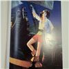 Image 2 : exotic ladies artist book- pinups, pirates