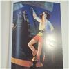 Image 3 : exotic ladies artist book- pinups, pirates