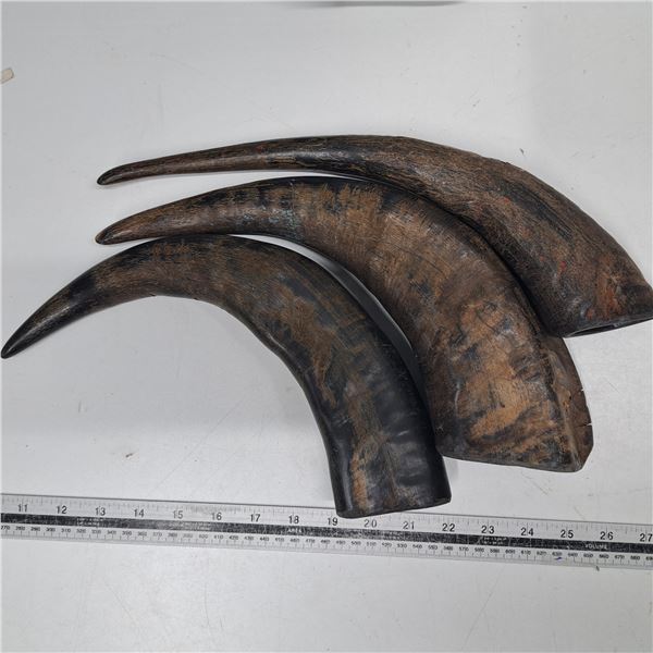 3 black horns